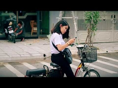 250w কম দামের 48v এলসিডি ডিসপ্লে সিটি ইলেকট্রিক ডার্ট বাইক eu 20 ইঞ্চি 36V ইলেকট্রিক বাইক