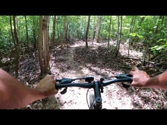 চীনে 250w 750w ফ্যাট টায়ার হাব মোটর ইউকে গুদাম বৈদ্যুতিক বাইক 29