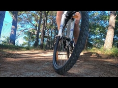 রোথার লেইকট্রিচ ইউ গুদাম উচ্চ মানের বৈদ্যুতিক সাইকেলের দাম কম 36v ব্যাটারি বৈদ্যুতিক সাইকেল