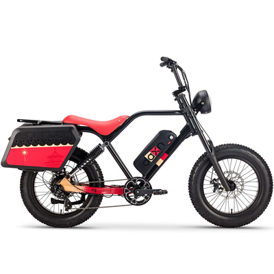 প্রাপ্তবয়স্কদের জন্য 250W 750w Elektrische Fiets সাইকেল ব্যাটারি 48v 20AH ফ্যাট টায়ার