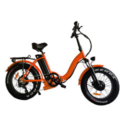 ডলফিন শেপ 36v 10ah ইলেকট্রিক হাইব্রিড বাইক ফাস্ট চার্জিং